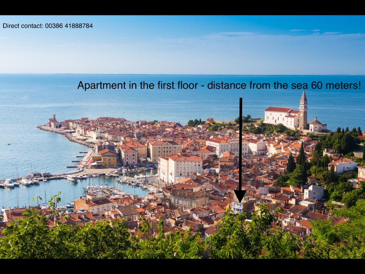 Apartament Veneziana *